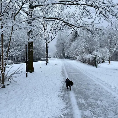 Na 102 - Z Widokiem Na Skocznie Narciarska, Serwis I Wypozyczalnia Nart Na Miejscu -20procent Dla Gosci Apartment *