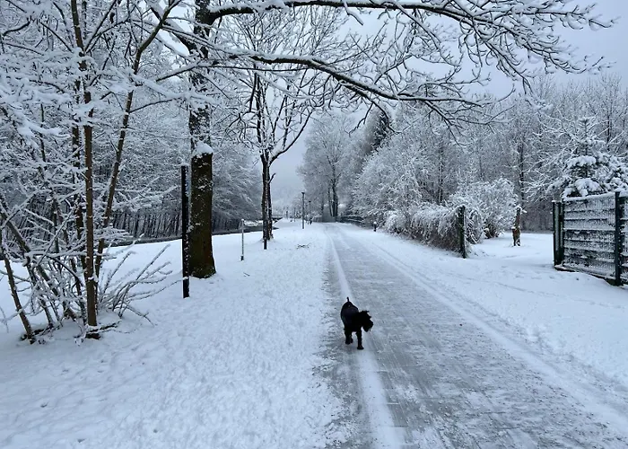 Na 102 - Z Widokiem Na Skocznie Narciarska, Serwis I Wypozyczalnia Nart Na Miejscu -20procent Dla Gosci Apartment *